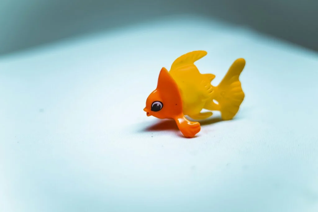 I Tried to Train My Goldfish with a Clicker—Here’s What Actually Happened